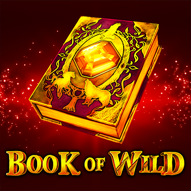 https://cdn.softswiss.net/i/s3/1spin4win/BookOfWild.png