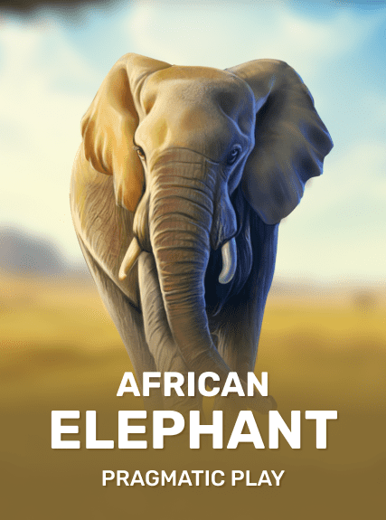 https://cdn.softswiss.net/i/s6/pragmaticexternal/AfricanElephant.png