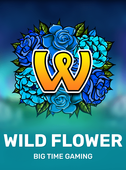 https://cdn.softswiss.net/i/s6/relax/WildFlower.png